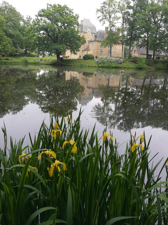 Chateau Du Bois Glaume Poligné Exteriér fotografie