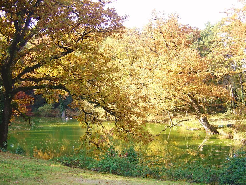 Chateau Du Bois Glaume Poligné Pokoj fotografie